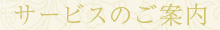 �T�[�r�X�̂��ē�